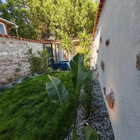 Meli Mila Spiti Milozrooms