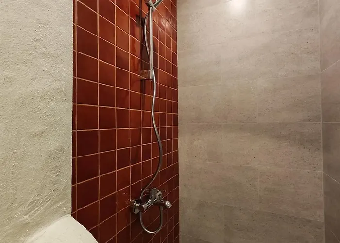 Meli Mila Spiti Milozrooms Ayvalı