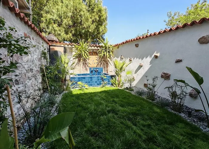 Meli Mila Spiti Milozrooms *